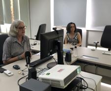 Saúde divulga Nota Orientava com cuidados para gestantes e recém-nascidos diagnosticados com Chikungunya 