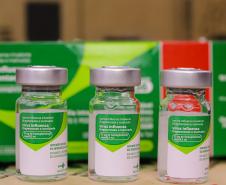 Paraná recebe primeiras doses de vacinas para campanha 2023 contra a gripe