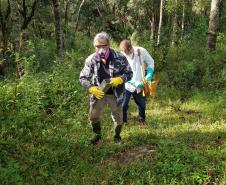 Sesa realiza ação de prevenção e controle da hantavirose em Guarapuava