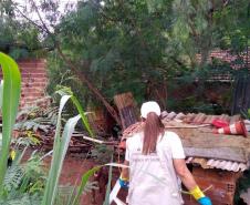 Estado estabelece frente de combate à dengue com ações efetivas em todo o Paraná