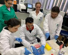 Paraná recebe treinamento para sequenciamento de genoma de chikungunya