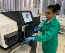 Paraná recebe treinamento para sequenciamento de genoma de chikungunya