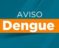 Boletim da dengue confirma mais 10,5 mil novos casos e cinco óbitos no Paraná