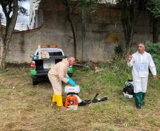 Ministério da Saúde vai difundir vídeos do Paraná sobre vigilância ambiental contra a dengue