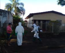 Ministério da Saúde vai difundir vídeos do Paraná sobre vigilância ambiental contra a dengue