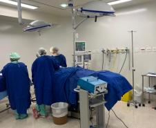 Hospital Zona Sul de Londrina atinge a maior média de cirurgias eletivas de sua história
