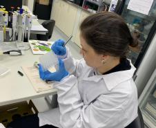 Estudo aponta que chikungunya em circulação no Paraná tem origem outras regiões do Brasil