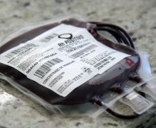 Dia do Doador de Sangue: Sesa ressalta a importância do ato solidário