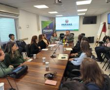 Trabalho do Paraná com síndromes gripais pauta encontro com centro dos EUA