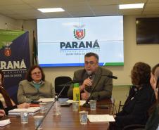 Trabalho do Paraná com síndromes gripais pauta encontro com centro dos EUA