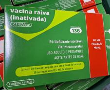 Mês das zoonoses: Saúde esclarece sobre a raiva e medidas em caso de acidente
