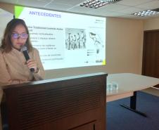 Estado e União estudam novas estratégias para combater dengue e demais arboviroses