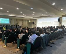 Encontro do PlanificaSUS em Maringá discute cuidado e acesso aos serviços de saúde