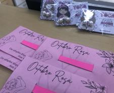 Com foco na saúde da mulher, Governo do Estado promove a 1ª etapa do Paraná Rosa em Ação