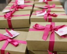 Governo promove quatro eventos da mobilização Paraná Rosa em Ação em outubro