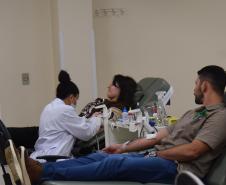 Dia Nacional do Doador de Sangue neste sábado reforça importância da solidariedade