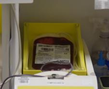 Dia Nacional do Doador de Sangue neste sábado reforça importância da solidariedade