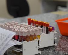 Dia Nacional do Doador de Sangue neste sábado reforça importância da solidariedade