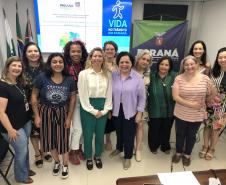 Representantes do MS reconhecem experiências exitosas do Programa Vida no Trânsito no Paraná