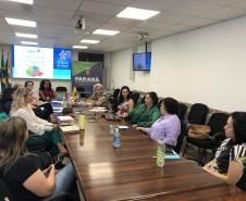 Representantes do MS reconhecem experiências exitosas do Programa Vida no Trânsito no Paraná