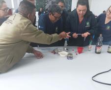Paraná aposta em capacitação, informação e monitoramento no controle das arboviroses