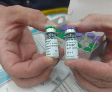 Estado distribui vacinas da dengue às Regionais de Saúde e promove instrução de aplicação