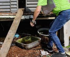 Dia D: Estado vai apoiar municípios na mobilização contra a dengue neste sábado