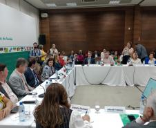 Secretário debate Dia D de combate à dengue e estratégias com Ministério da Saúde