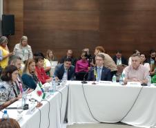Secretário debate Dia D de combate à dengue e estratégias com Ministério da Saúde