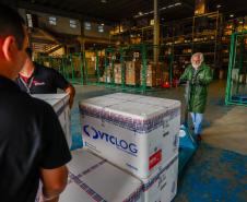 Paraná recebe primeiro lote de vacinas contra a dengue
