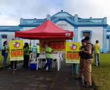 Ações do Dia D da dengue acontecem em todo o Paraná neste sábado