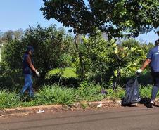 Com adesão de 370 cidades, campanha de primeiras-damas contra dengue já tem ações