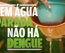 Para reforçar ações de sábado, Estado lança campanha contra a dengue com inteligência artificial