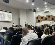 Saúde promove seminário para aprimorar cuidados na rede de urgência e emergência