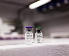 Paraná recebe novo lote de vacinas contra dengue para sete Regionais de Saúde