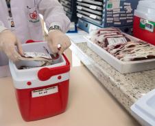 Paraná envia bolsas de sangue e plaquetas para o Rio Grande do Sul