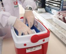 Paraná envia bolsas de sangue e plaquetas para o Rio Grande do Sul