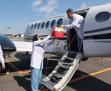 Paraná envia bolsas de sangue e plaquetas para o Rio Grande do Sul