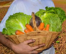 Saúde publica e-book sobre doenças provocadas por alimentos e como previni-las