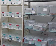 Saúde monitora serpentes no Estado e garante soro que neutraliza ação do veneno