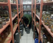 Saúde monitora serpentes no Estado e garante soro que neutraliza ação do veneno