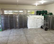 Biofábrica Wolbachia: Londrina e Foz do Iguaçu terão nova tecnologia de combate à dengue