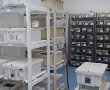 Saúde monitora serpentes no Estado e garante soro que neutraliza ação do veneno