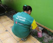 Estado investe R$ 100 milhões em vigilância em saúde e combate à dengue no semestre