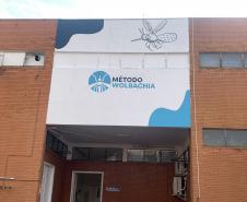 58 milhões de wolbitos devem ajudar Londrina no combate à dengue e arboviroses