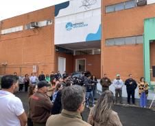 58 milhões de wolbitos devem ajudar Londrina no combate à dengue e arboviroses
