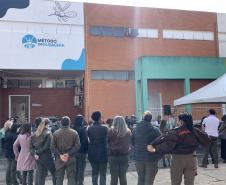 58 milhões de wolbitos devem ajudar Londrina no combate à dengue e arboviroses