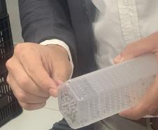 Método Wolbachia: Paraná solta mosquitos na inauguração da biofábrica em Foz do Iguaçu