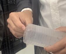 Método Wolbachia: Paraná solta mosquitos na inauguração da biofábrica em Foz do Iguaçu