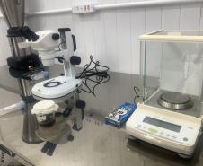 Método Wolbachia: Paraná solta mosquitos na inauguração da biofábrica em Foz do Iguaçu